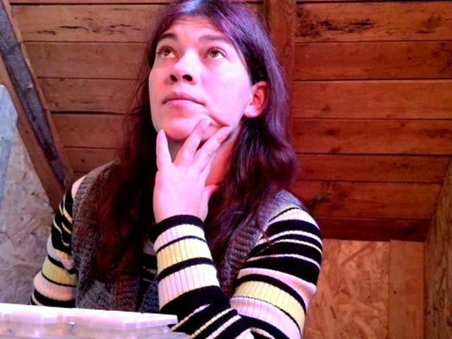 model