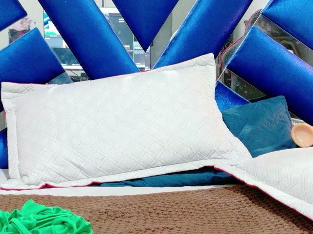 model