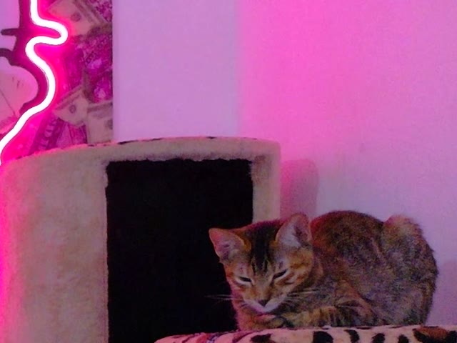 model