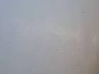 Fformesx072