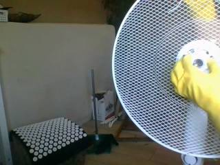 italianatuttatua4578